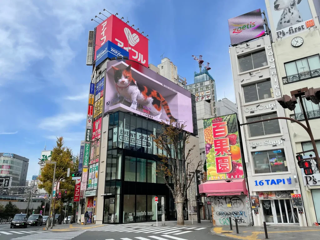 新宿駅東口の巨大3D猫！話題沸騰のサイネージが描く都市の新風景