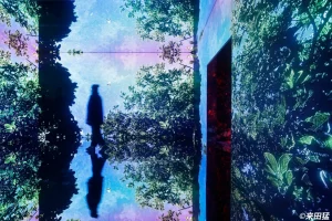 蜷川実花展 with EiM：彼岸の光、此岸の影 / 京都府京都市