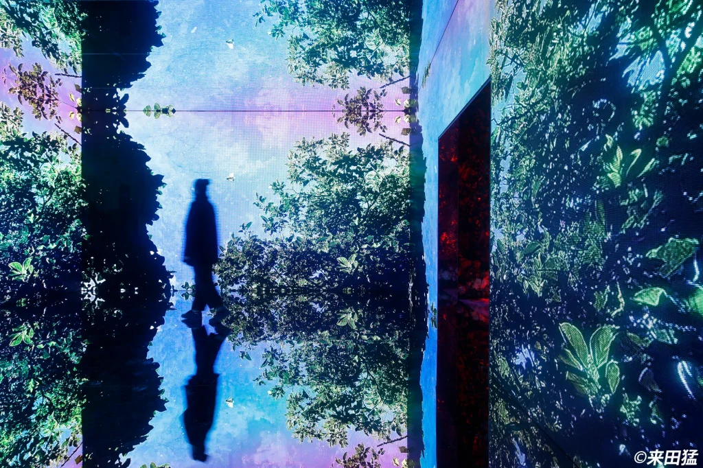 蜷川実花展 with EiM：彼岸の光、此岸の影 / 京都府京都市