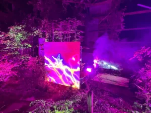 「蕾」MV撮影 / Omoinotake